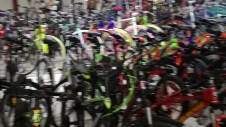 Steel BMX Freestyle Bicycle (FB