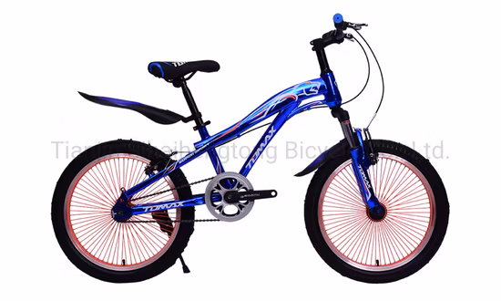 20inch Popular Children Bike Copy BMX Style Mountain Bicycle 