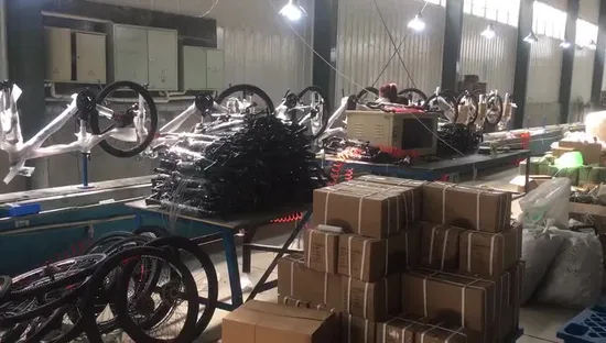 Bicycle Freestyle BMX Bike for Performance 