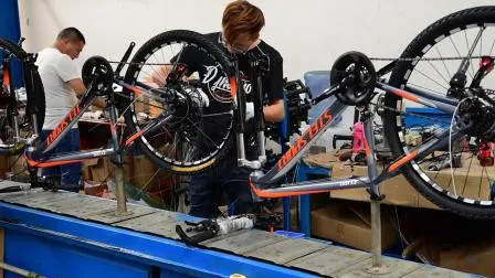 China Bicycle Wholesale Mini Freestyle BMX Cycles 