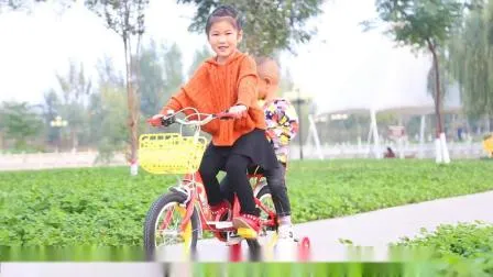 20 Inch Freestyle Street Cheap Sepeda BMX Bikes All Kinds of Price BMX Bicycle Cycle for Men / 20 Inch Bicicleta Racing BMX 